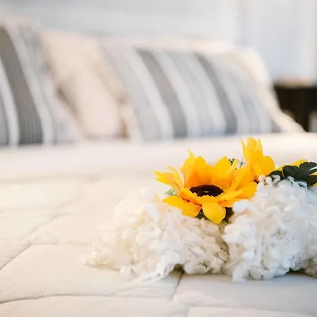 Apartment Cipriani - @flatinbo Bologna